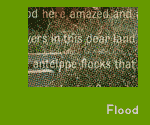 Flood